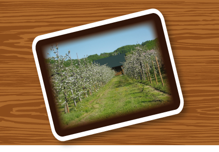 �悤�����@�܂�܂����t�@�[���ցI�I