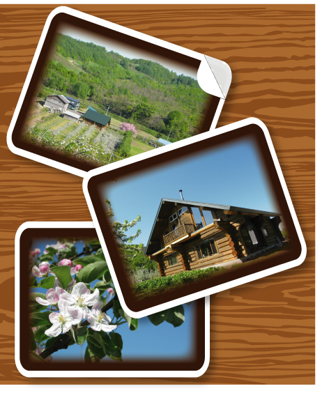 �悤�����@�܂�܂����t�@�[���ցI�I